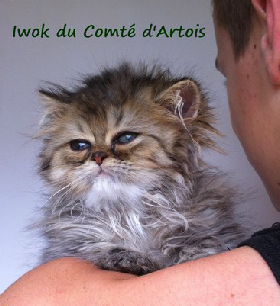 wp2441ae74.png